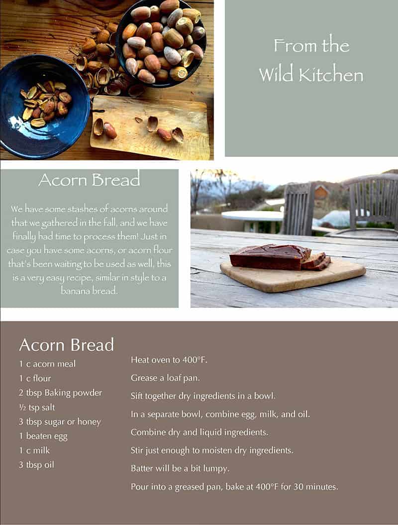 Quail Springs Acorn Bread Recipe
